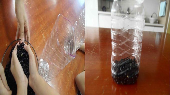 (2)불린 콩을 콩나물시루에 한 움큼 옮겨 담는다